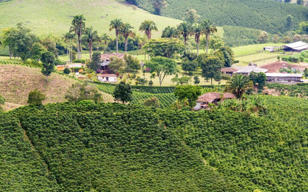 Manizales Mejor Ciudad Para Vivir.