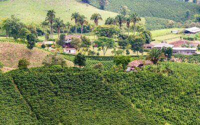 ¿Porqué Manizales, es la mejor ciudad para vivir en Colombia?